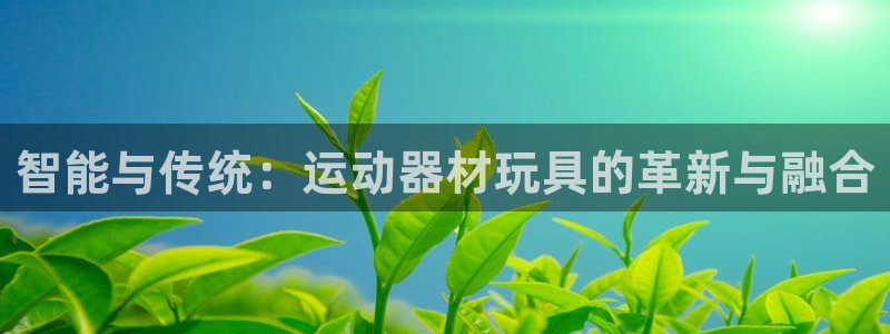 emc易倍体育官网下载开户:智能与传统:运动器材玩具的革新与