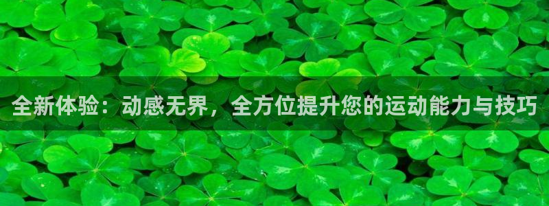 emc易倍体育官网下载招商电话号码是多少:全新体验:动感无界